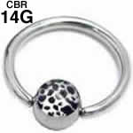 レパードCBR（6mmボール） ボディピアス 14G